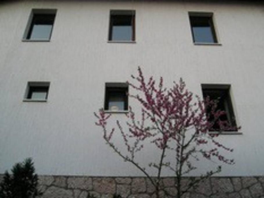Apartment In Old Town - Top Location Sarajevo Exterior photo